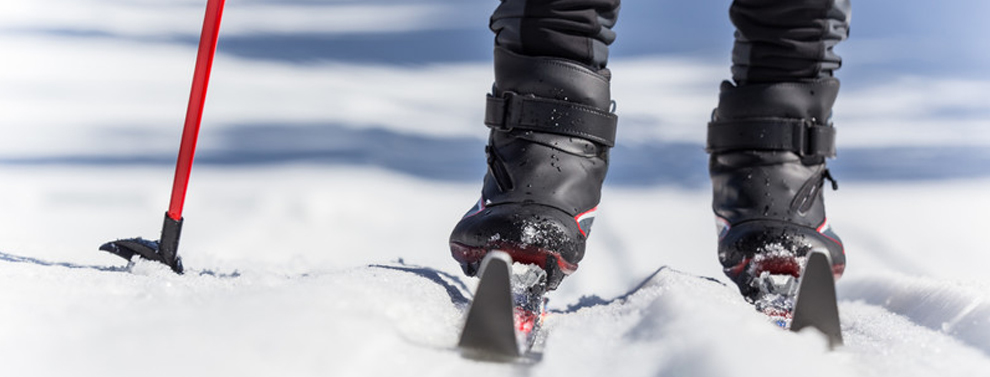 Cross Country Skiing