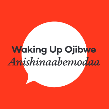 Waking UP Ojibwe: Anishinaabemodaa